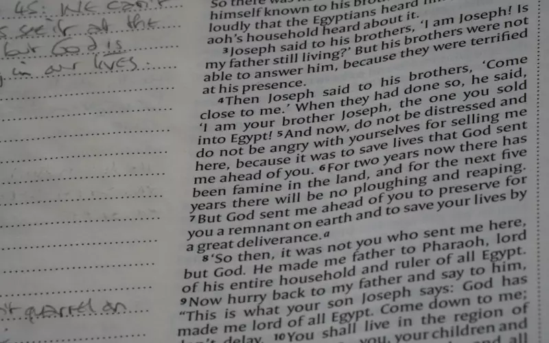 45岁大姐网恋小鲜肉(40岁女网恋小鲜肉)