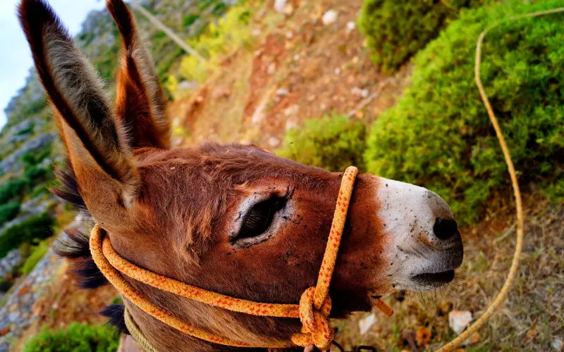 很美的一段话，送给我的朋友