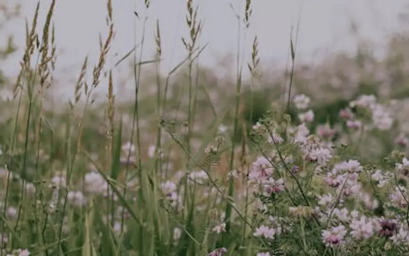 暧昧期男生说做朋友怎么挽回(暧昧期挽回和分手挽回)