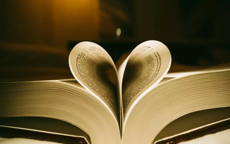 挽回爱情的方法大全，分手必看！