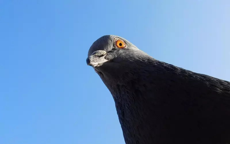 如何挽回男友全攻略？从心理学角度出发，让你重获爱情！