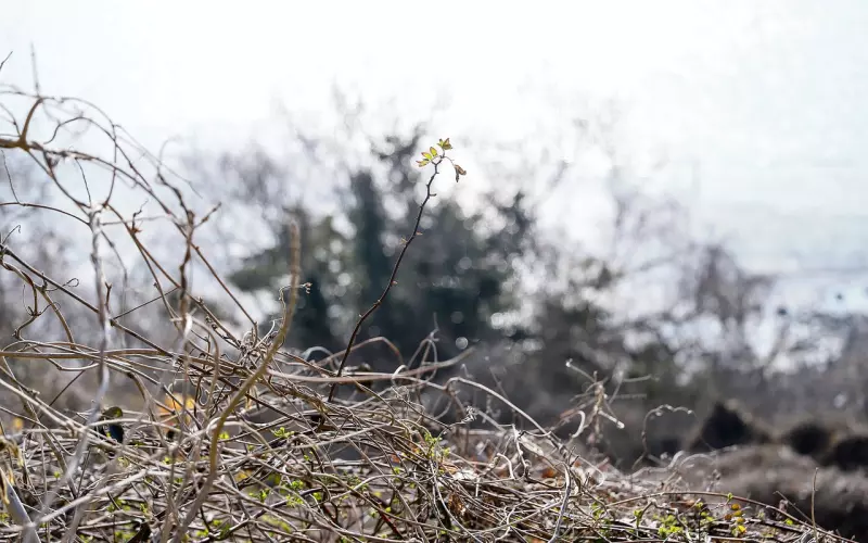 挽回老婆全攻略，出轨后的婚姻，老婆出轨还能挽回吗