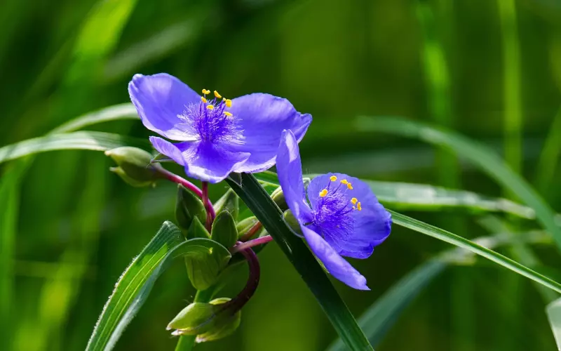 挽回老婆全攻略，与老婆经常吵架，这次闹大离婚了该怎么办