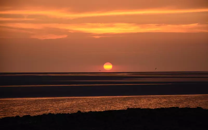 挽回男友全攻略：双子男友出轨到底该如何应对？