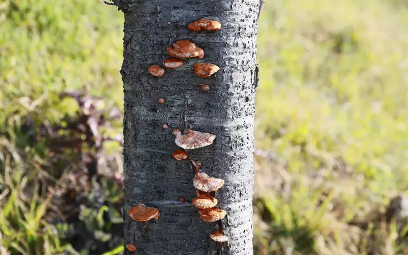 挽回爱情全攻略，感情破裂还能挽回吗？