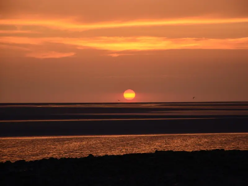 挽回男友全攻略：挽回不信任的前男友需要哪些套路？挽回该怎么做？