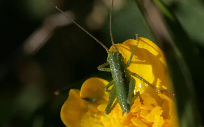 挽回冷淡期男友全攻略