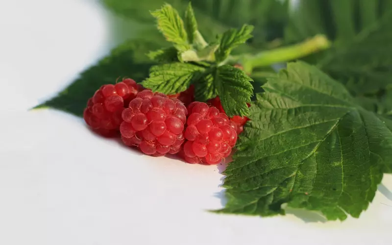 核心学员发来了一封信