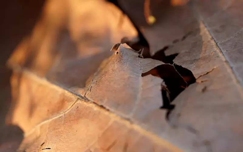 五年感情说断就断？这样做保你情侣抛弃分手念头