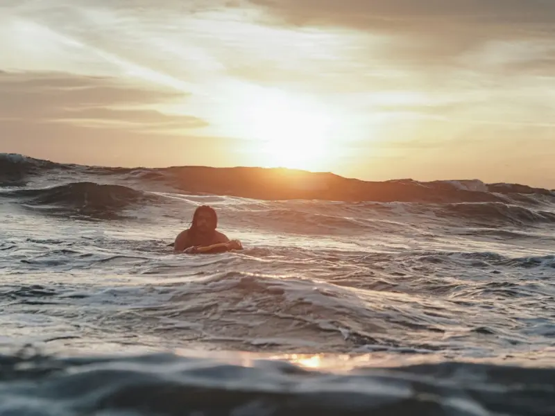 ❤狗的一个手势，狐狸死了