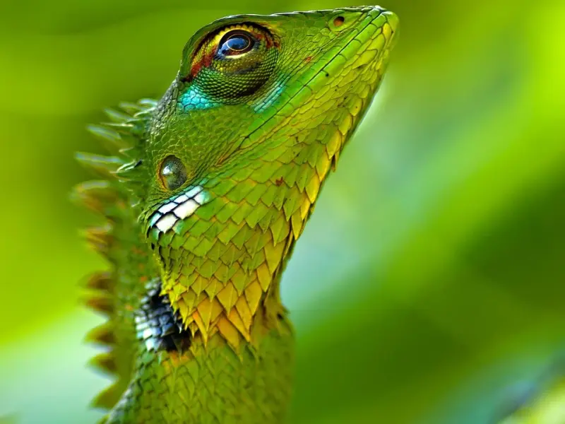 “拜金女得不到真爱!”“你能啊？”