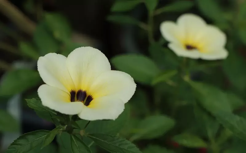 好的婚姻，就看两个人怎么吃饭