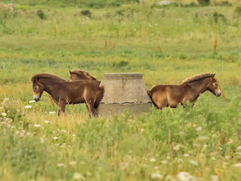 好的感情，就是不费力气啊！