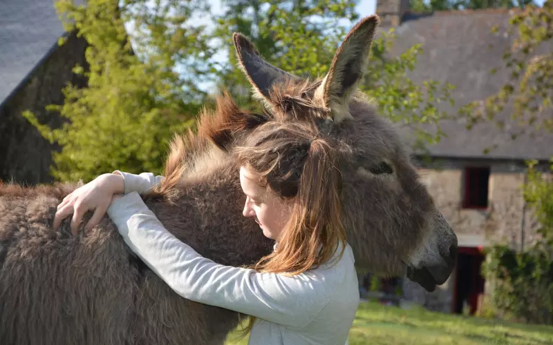 挽回感情的良好开端——外形改造
