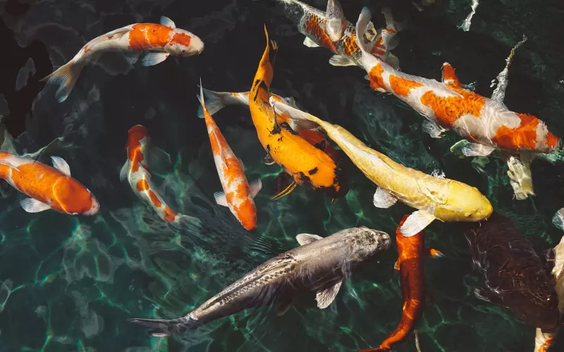 ?一群男人喝酒，各自给老婆发信息，老婆的回复太有才了！