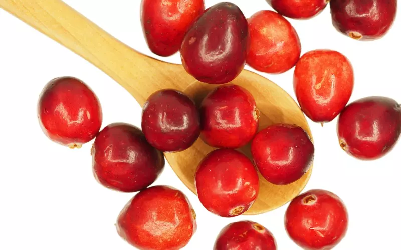 心痛到撕心裂肺的心碎短句子，越读越想哭！