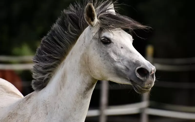 一种被忽略掉了的虐待，挽回男友为何他总是对你冷bl