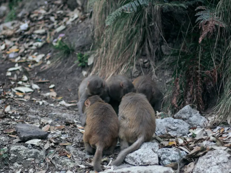 合法妻子挽救婚姻，面对拆散你们感情的小三应该怎么做？