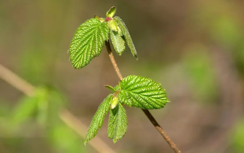 老学员给你的一封信，内含机密！