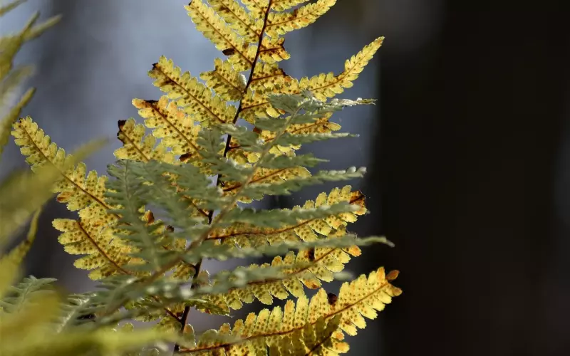 一封信 看哭无数网友，学习正确技巧助你挽回爱情