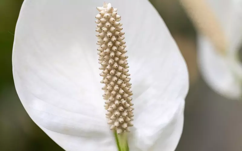 一封 感谢信（2017.8.9号收到的）——化解原生家庭带来的轮回案例