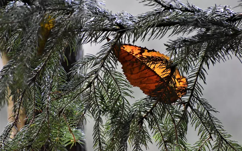 一封信挽回了前男友