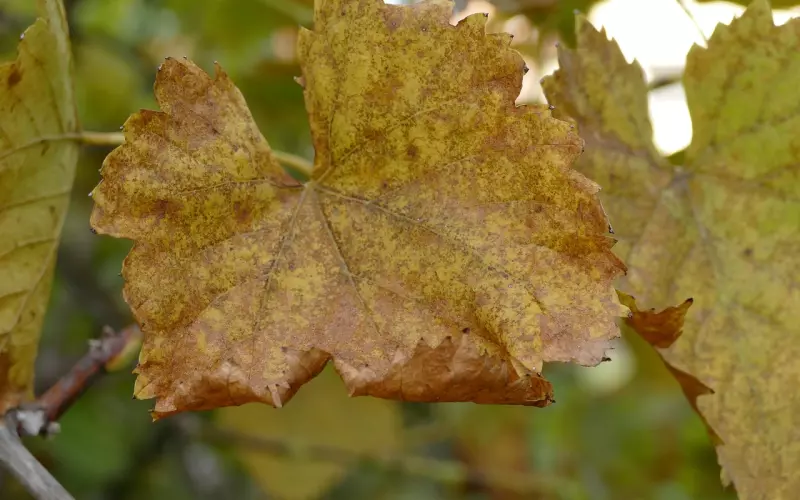 一封信挽回了前男友