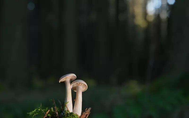 男人放不下女人的表现，中2条赶紧复合吧！