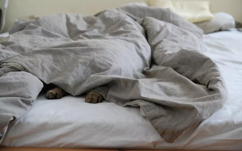 男子为隐藏秘密轻生，真的是被催婚惹的祸吗？