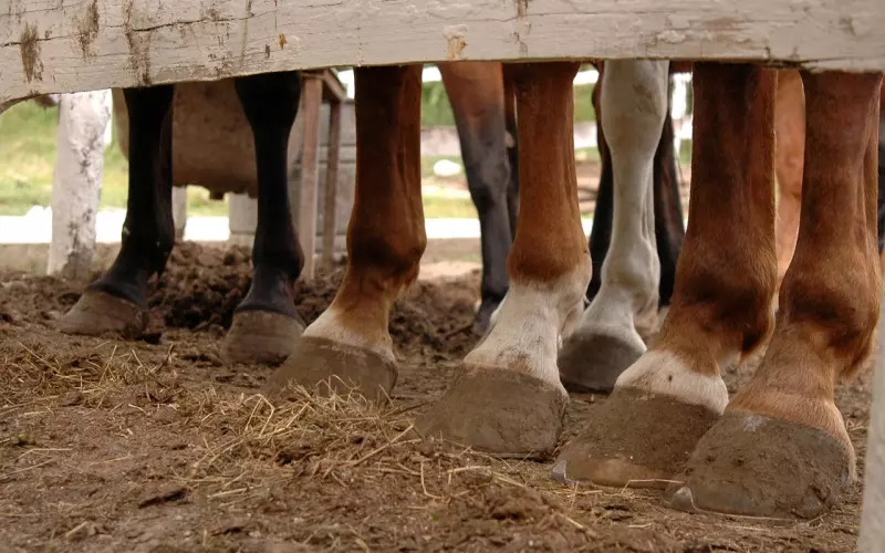 男人有二心了，虽嘴上不说，但会露出这些马脚