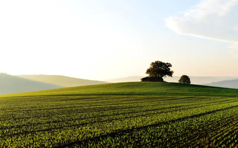男人一生要耕好的三块田，你不耕别人会替你耕