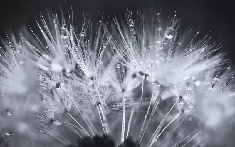 男人心里开始“嫌弃”你了，才敢对你说出这几句话，希望你没听过..