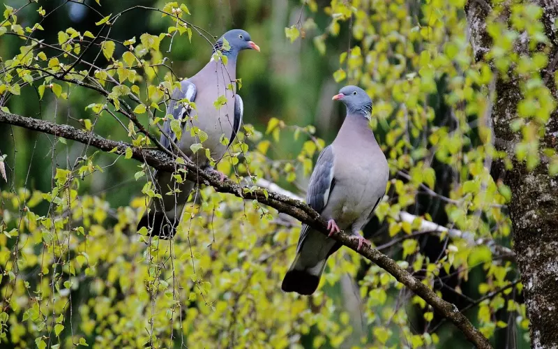 男人嘴上甜言蜜语表面对你好，却做不到3件事情，劝你早点离开