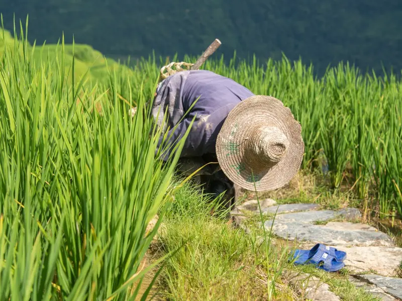 男人把你当备胎，逃不出这三种表现，你中招了吗？