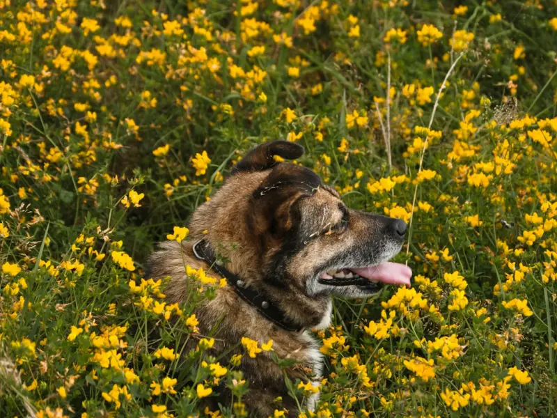 一个打过你的男人（女人必看）