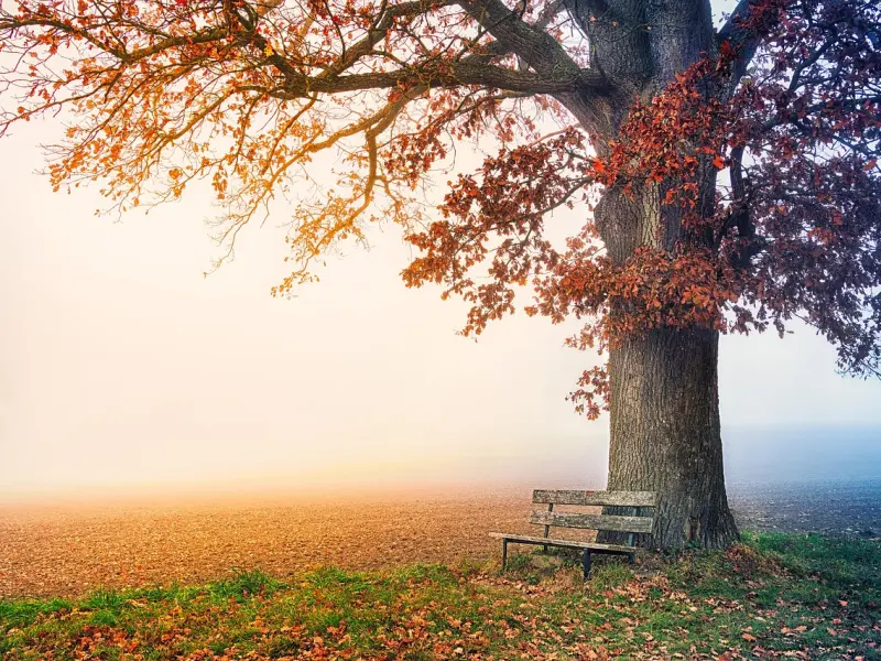 有这4种表现的男人，说明他把你放在了心上