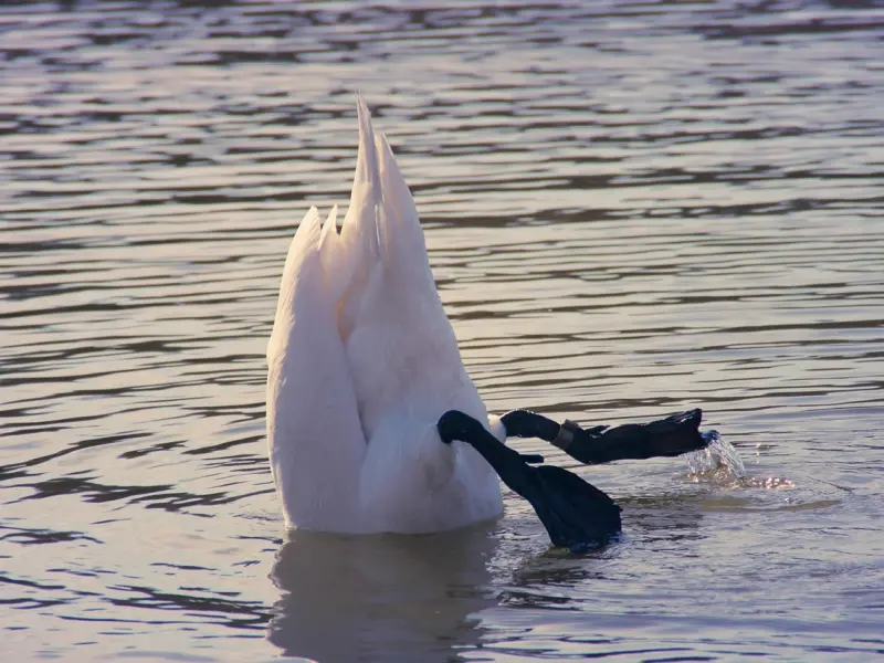 敢这么称呼你的男人，才是真爱，说明心里已经把你当老婆了