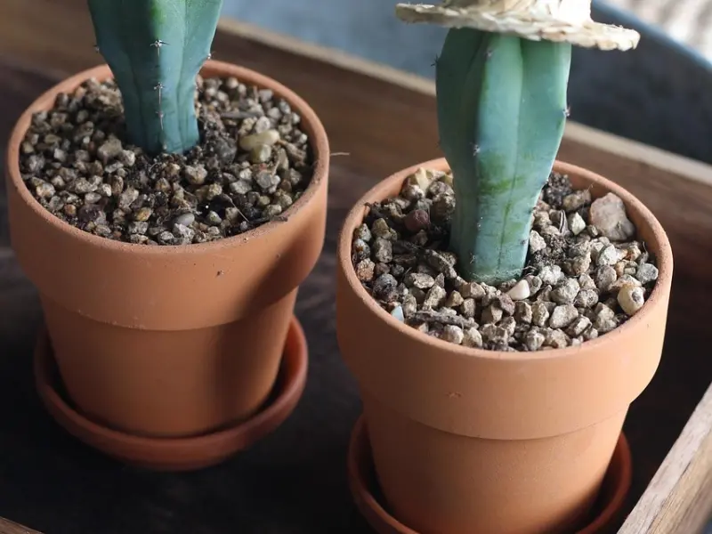 一个对你动了真情，深深迷恋上你的男人，会有这样的表现