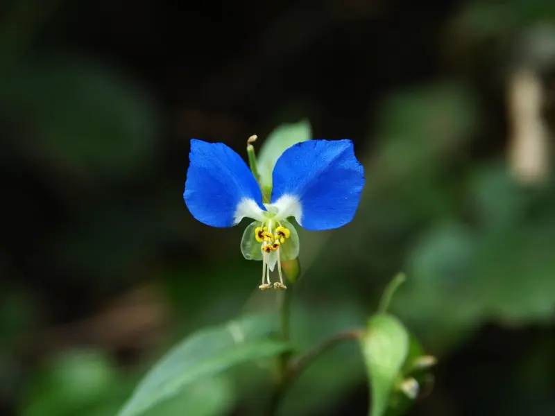 男女亲热之后，经常做这个“小动作”的男人，说明他已经腻了