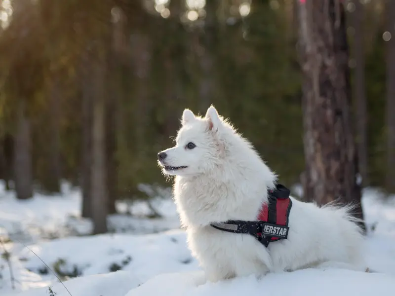 经常说这3句话的男人，注定是一辈子的‘’单身狗‘’！