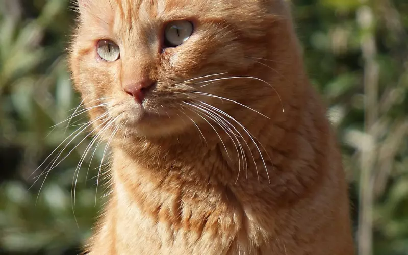 真正喜欢你的男人，应该是这个样子，细节骗不了人！