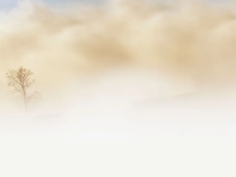 真爱你的男人，不管城府有多深，也会有这四个表现