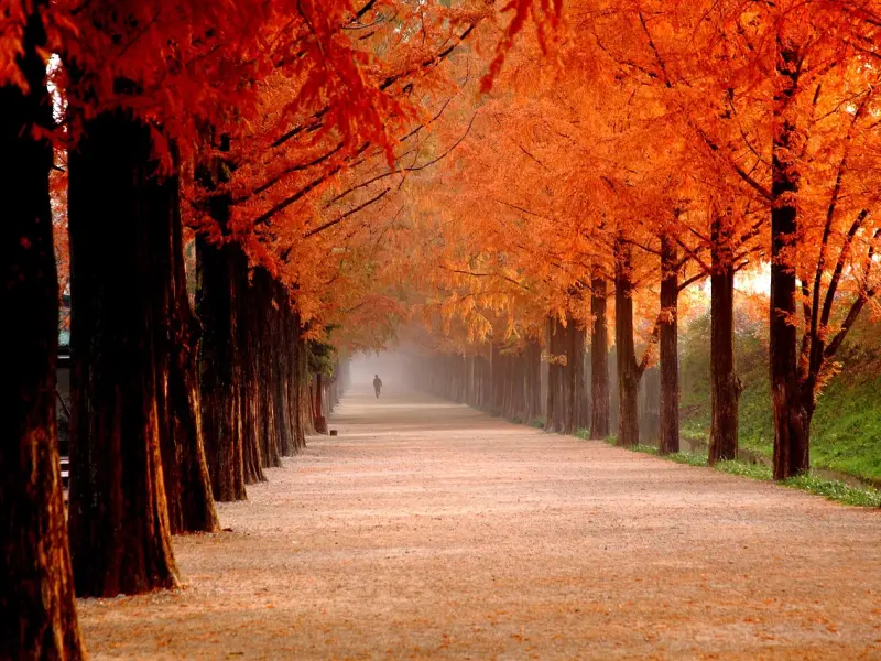 真心爱过你的男人，一定会给你发这样的信息