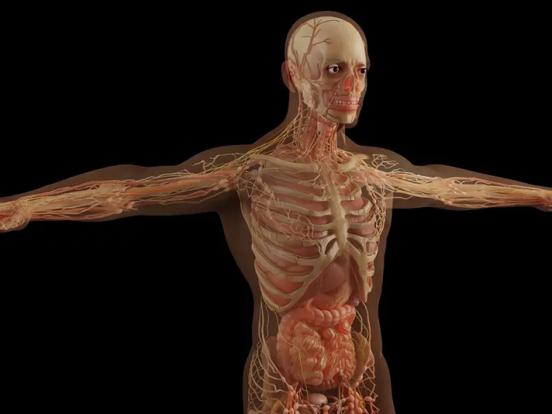 真正爱你的男人，见到你就会出现这3个身体反应