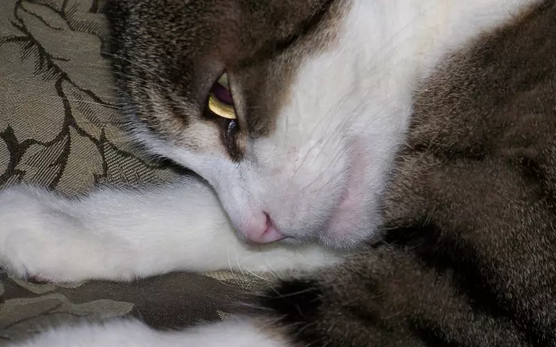 男人动了真情，会变成这个样子，假装不了