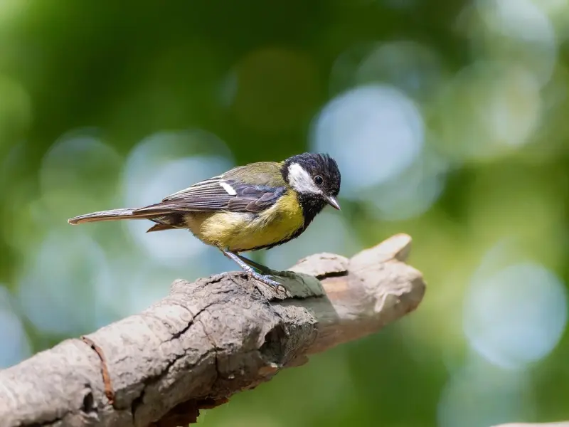 男人没有把你当女朋友，才会出现这4个小动作！