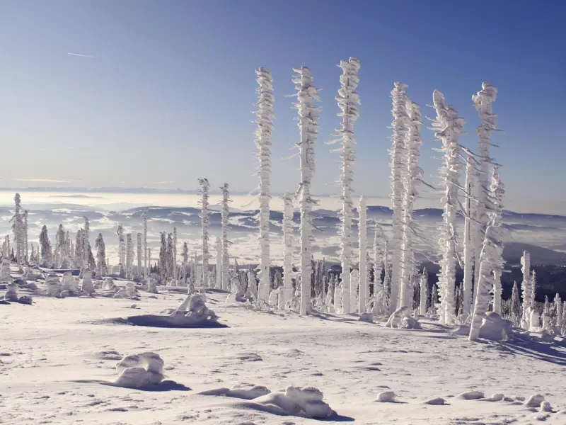男人只有把你当“未来老婆”了，才会这么做！