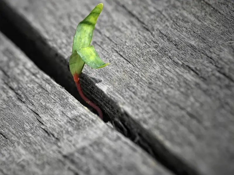 男人对你的真心，从这5个细节就能表现出来！