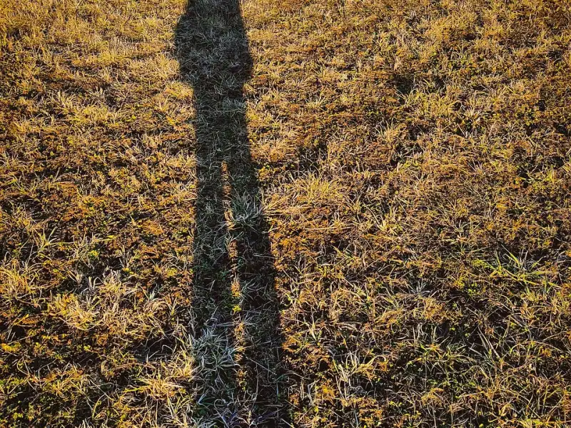 一个男人从被劈腿到复仇的全过程。