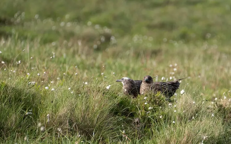 ​半路夫妻，永远是贼（现在告诉你）